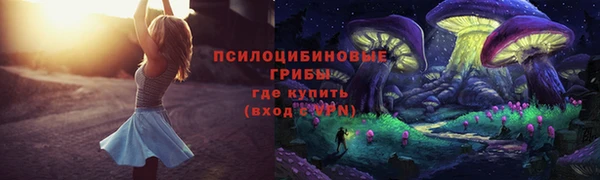 дурь Белоозёрский