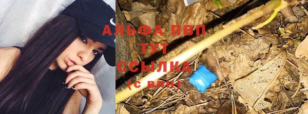 стафф Белокуриха