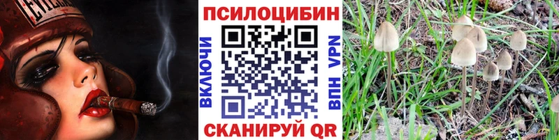 как найти наркотики  Сердобск  Псилоцибиновые грибы ЛСД 