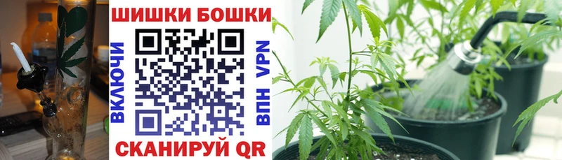 Бошки марихуана SATIVA & INDICA  omg ONION  Сердобск 